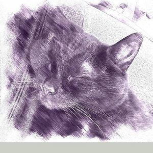 Meet your Posher, Becky